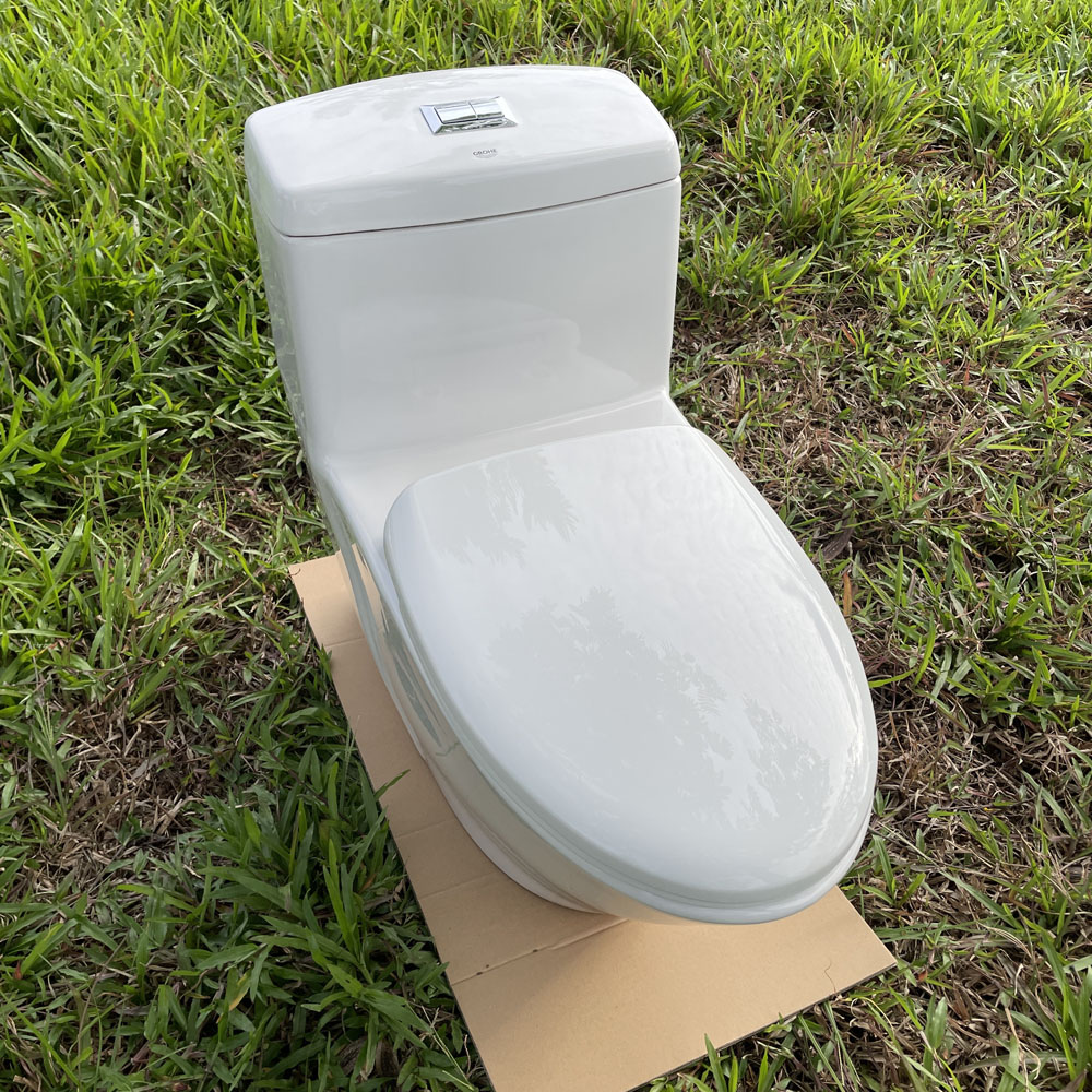 Bồn cầu 1 khối dòng Projectline GROHE 39316000