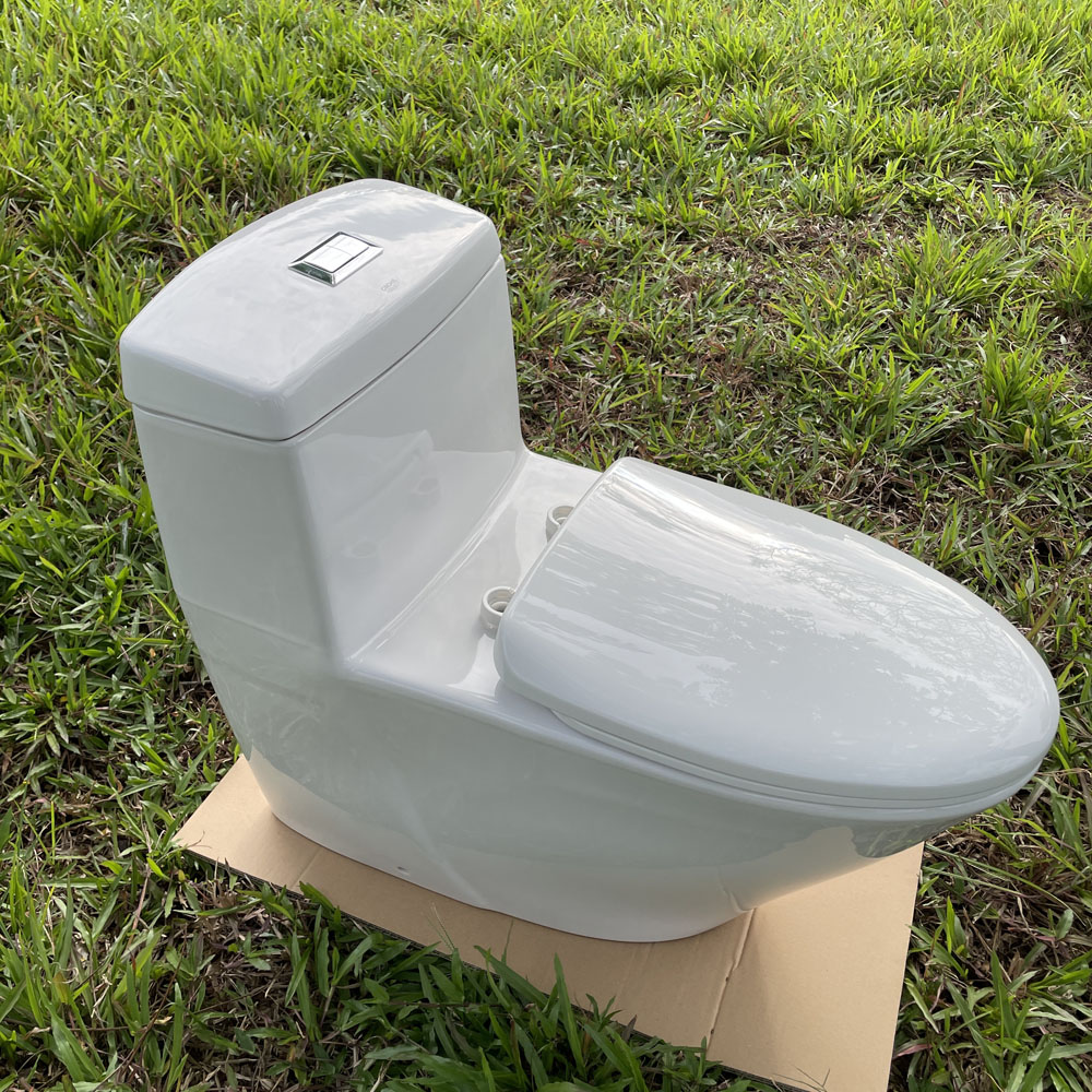 Bồn cầu 1 khối dòng Projectline GROHE 39316000