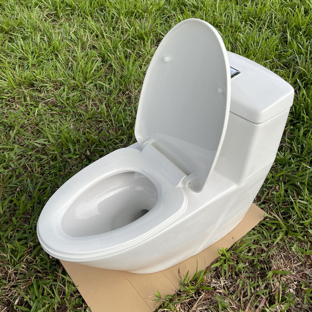 Bồn cầu 1 khối dòng Projectline GROHE 39316000