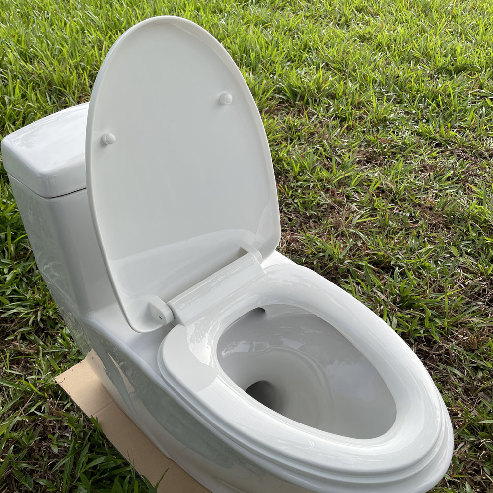 Bồn cầu 1 khối dòng Projectline GROHE 39316000