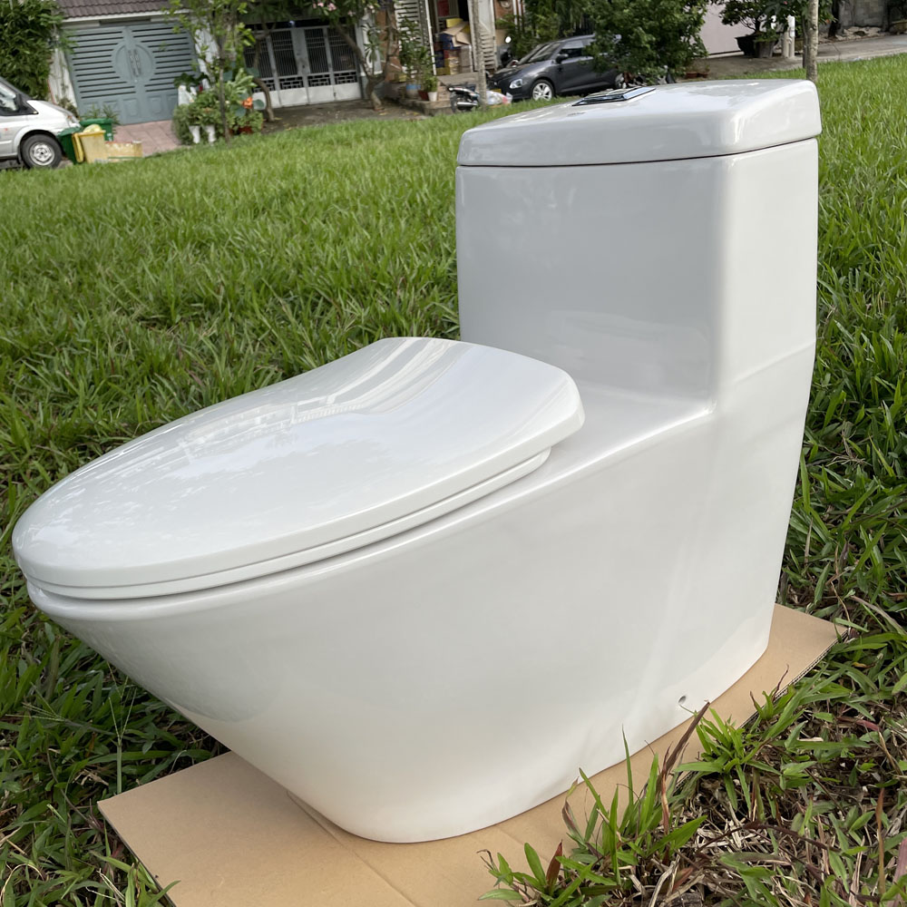 Bồn cầu 1 khối dòng Projectline GROHE 39316000