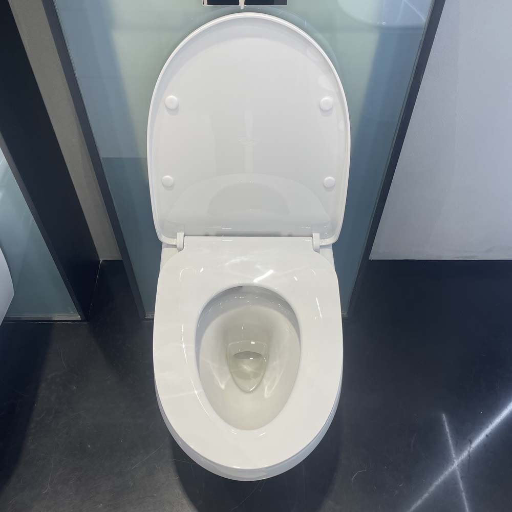 Thân bồn cầu treo tường Euro Ceramic GROHE 100999SH00