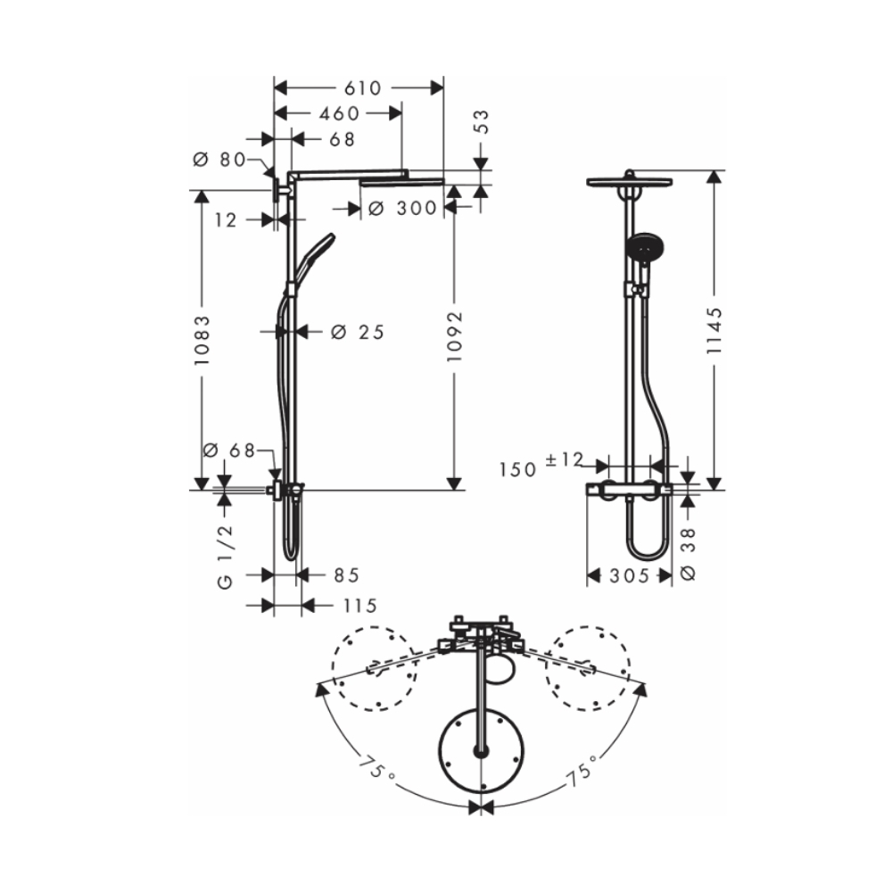 Sen cây nhiệt độ Raindance S Hansgrohe 27114000