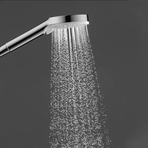 Tay sen tắm HG Crometta Vario Porter Hansgrohe 26691400 (2 chế độ)