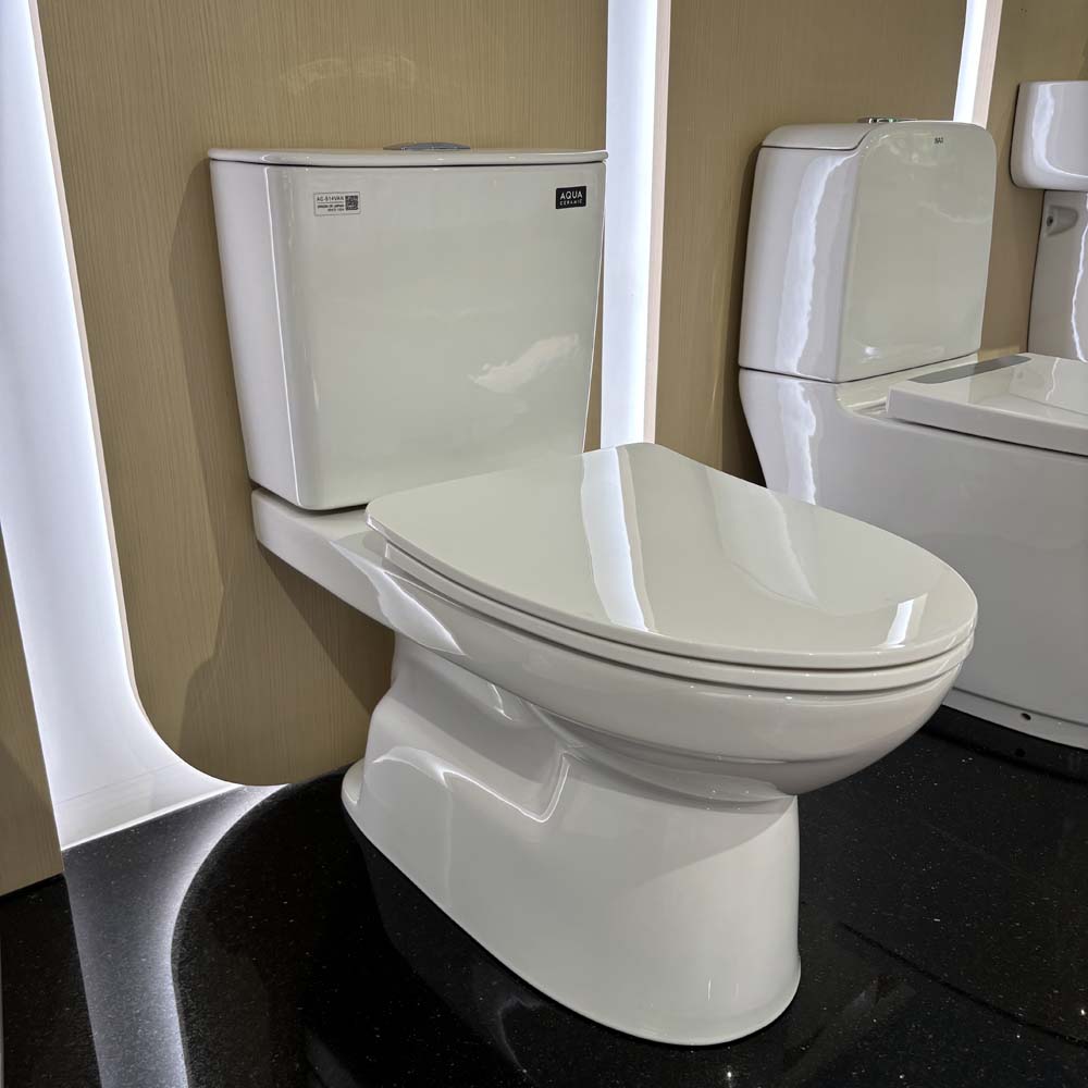 Bồn cầu 2 khối INAX AC-514VAN (AC514VAN) nắp đóng êm