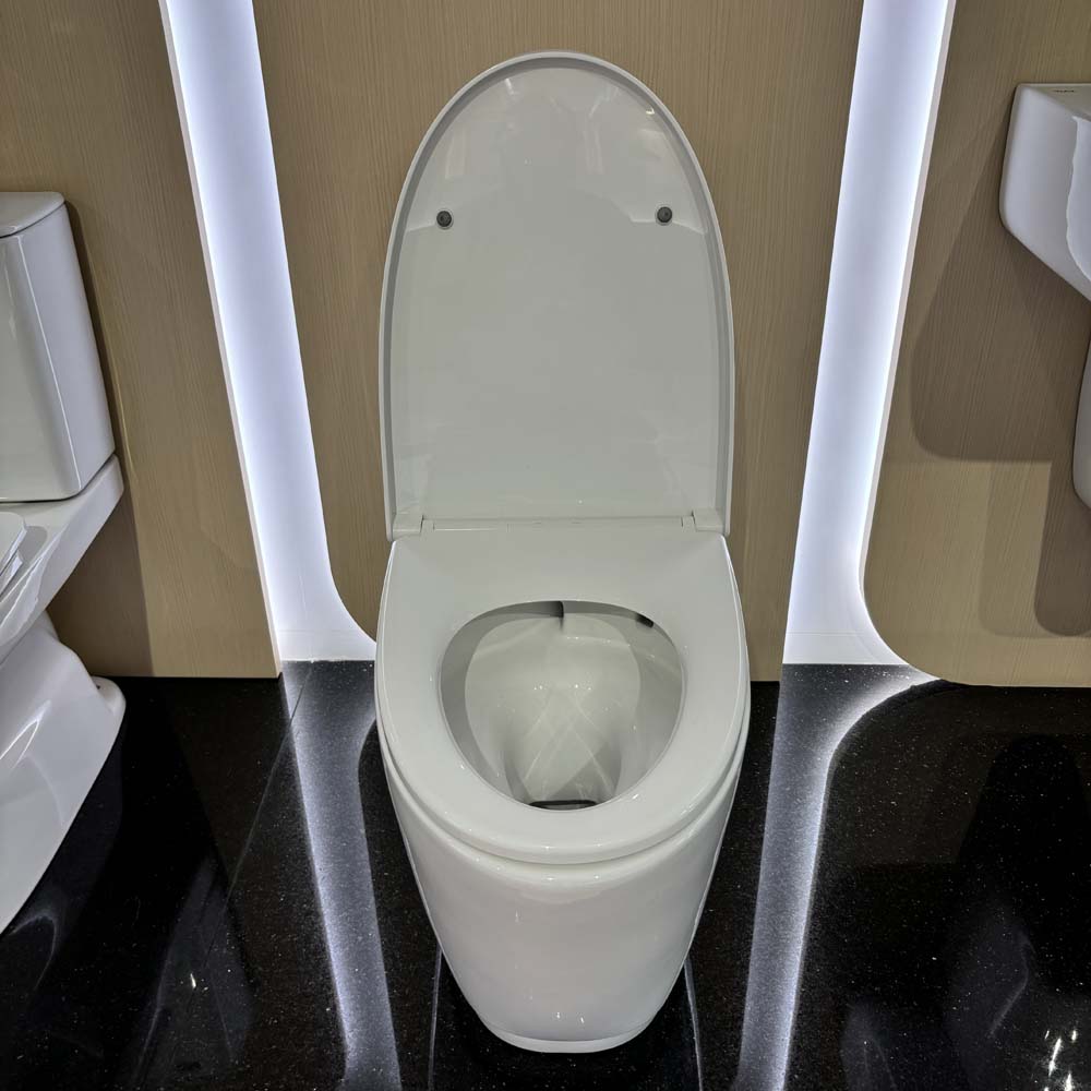 Bồn cầu 2 khối INAX AC-832VN (AC832VN) nắp đóng êm