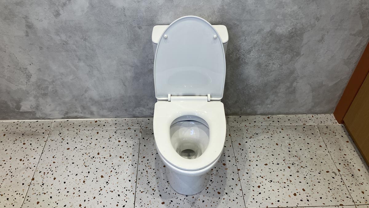 Bồn cầu 2 khối INAX C-514VAN (C514VAN) nắp đóng êm