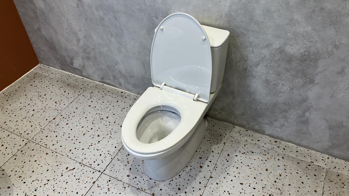 Bồn cầu 2 khối INAX C-514VAN (C514VAN) nắp đóng êm