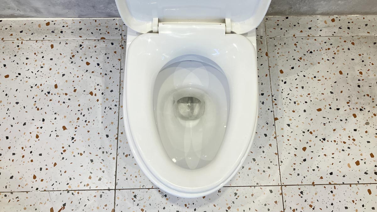 Bồn cầu 1 khối INAX AC-969VN (AC969VN) nắp đóng êm