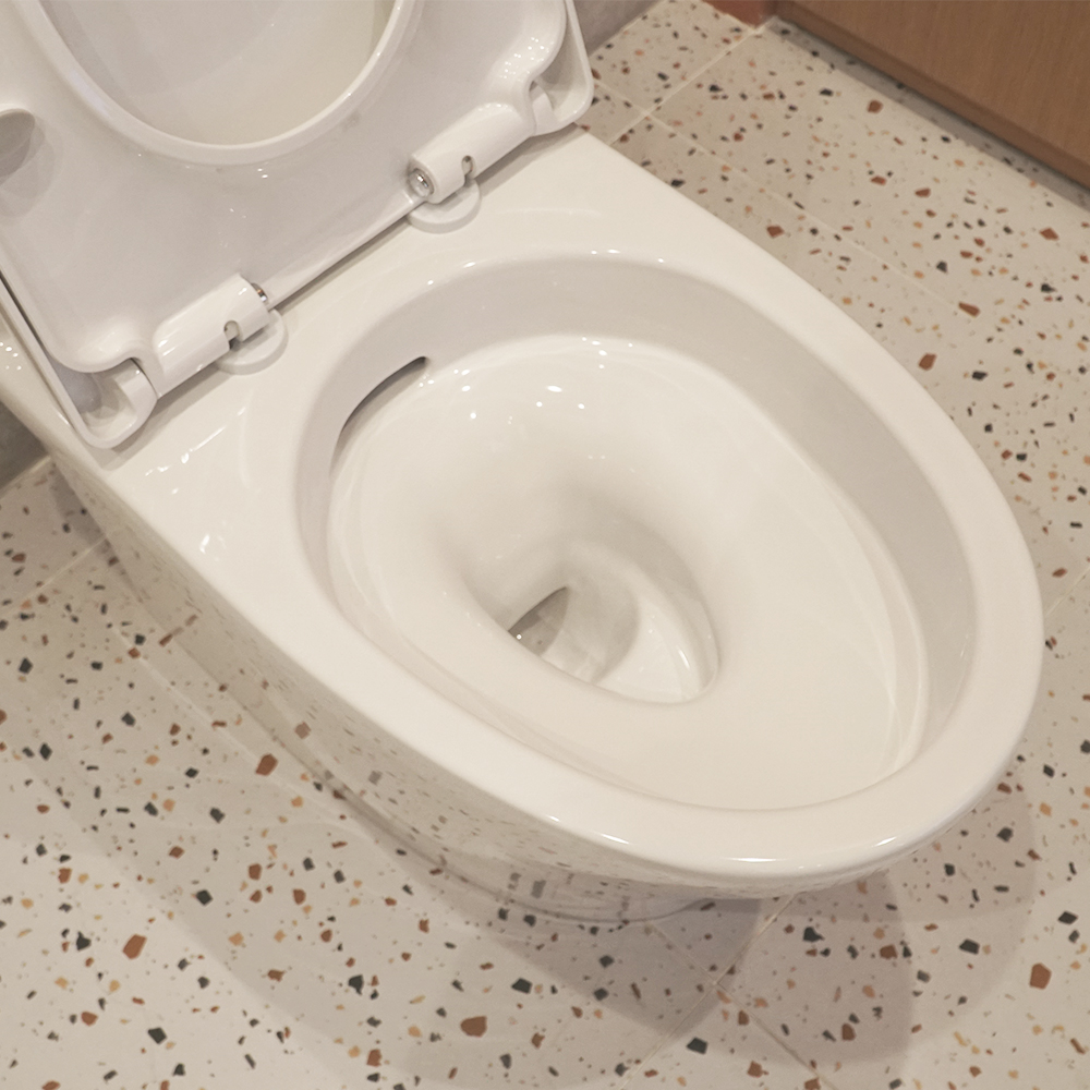 Bồn cầu 1 khối INAX AC-989VN (AC989VN) nắp đóng êm