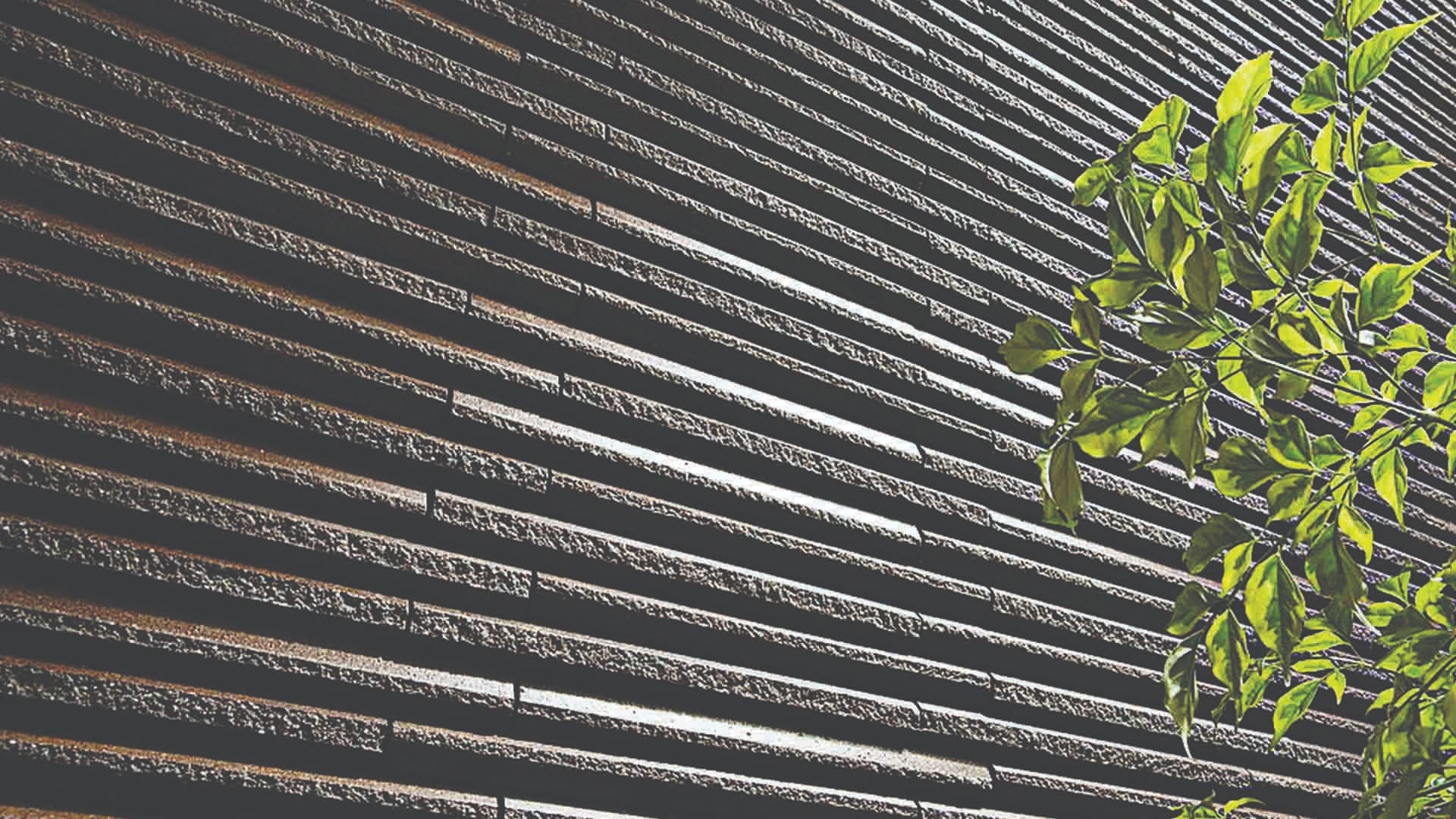 Gạch ốp tường HOSOWARI BORDER RANDOM INAX HAL-20BR/HB