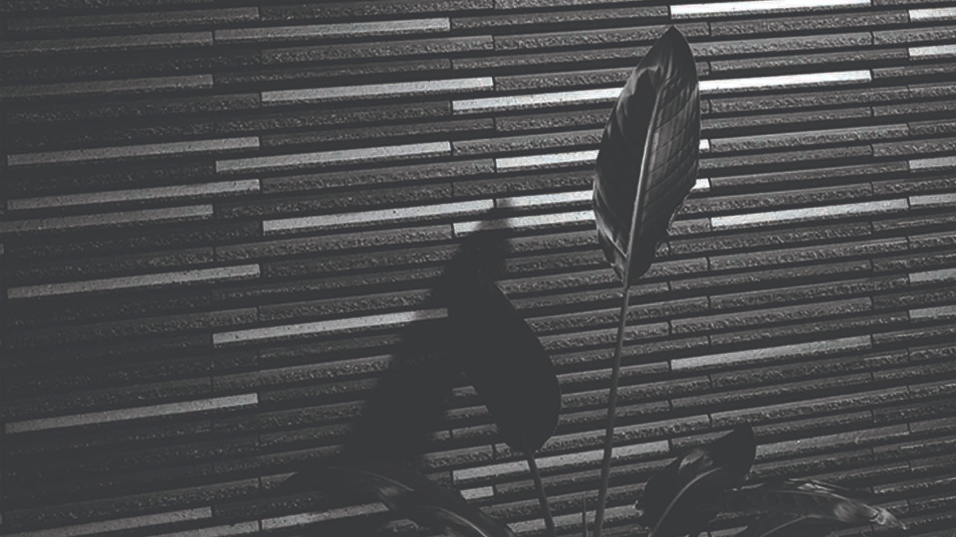 Gạch ốp tường HOSOWARI BORDER RANDOM INAX HAL-20BR/HB