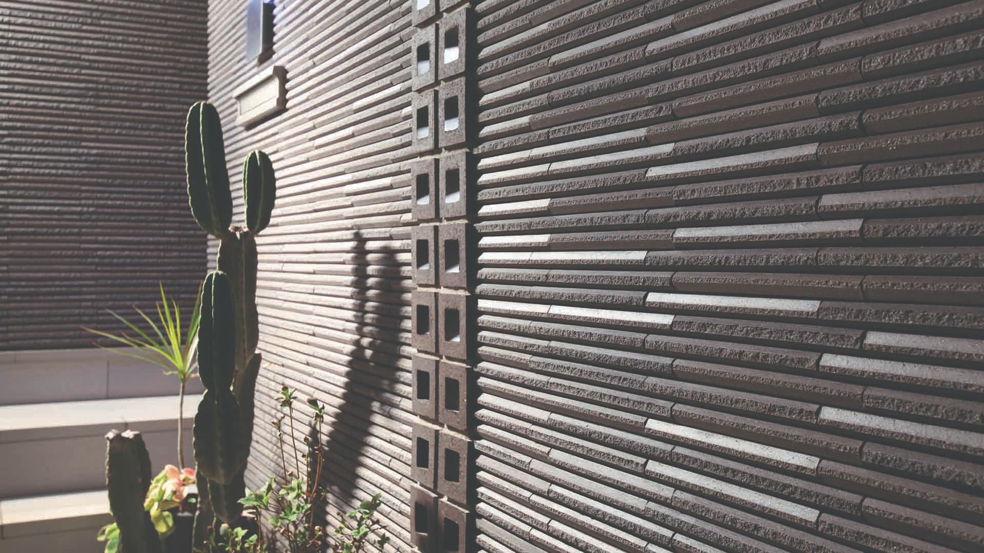 Gạch ốp tường HOSOWARI BORDER RANDOM INAX HAL-20BR/HB