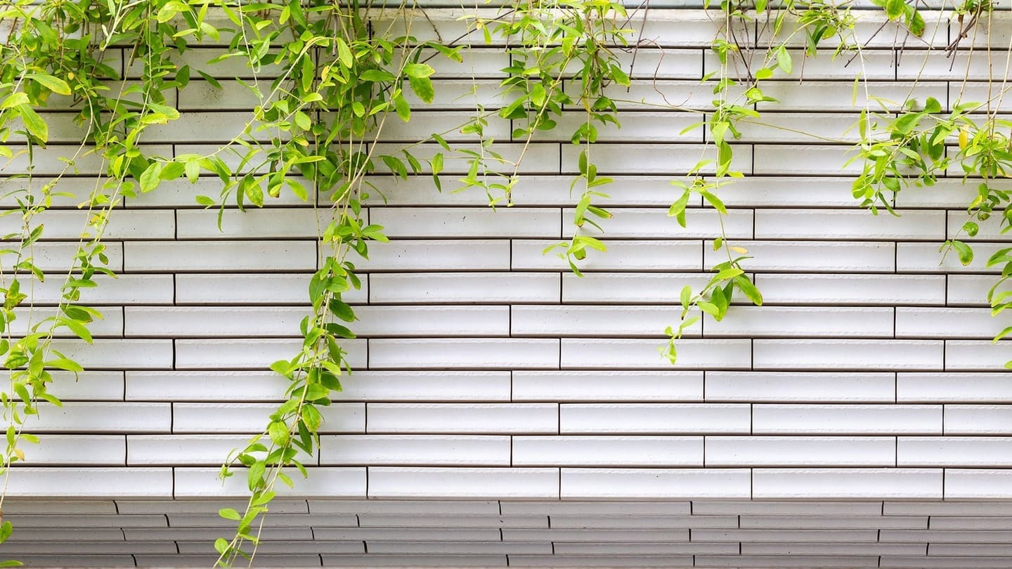 Gạch ốp tường R-BORDER INAX-40B/RB