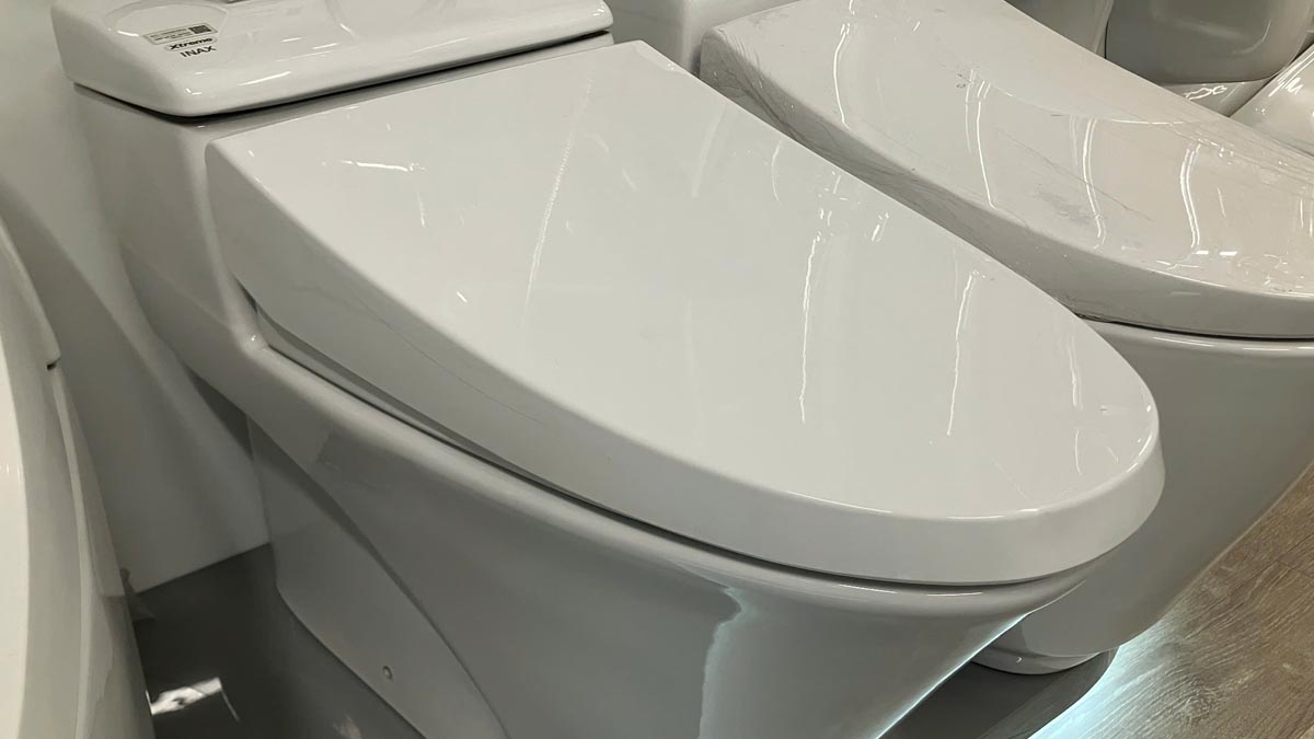 Nắp bồn cầu INAX CF-1008VS/BW1