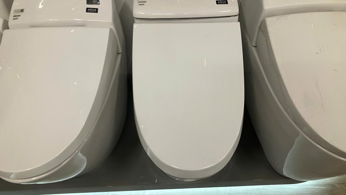 Nắp bồn cầu INAX CF-1008VS/BW1