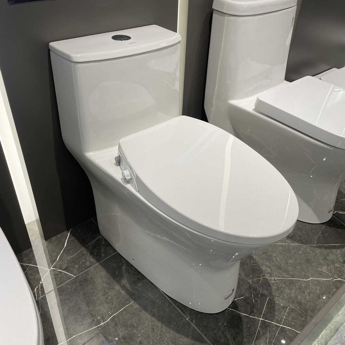 Bồn cầu 1 khối nắp rửa cơ JOMOO 11213-2-1/31Z-I011