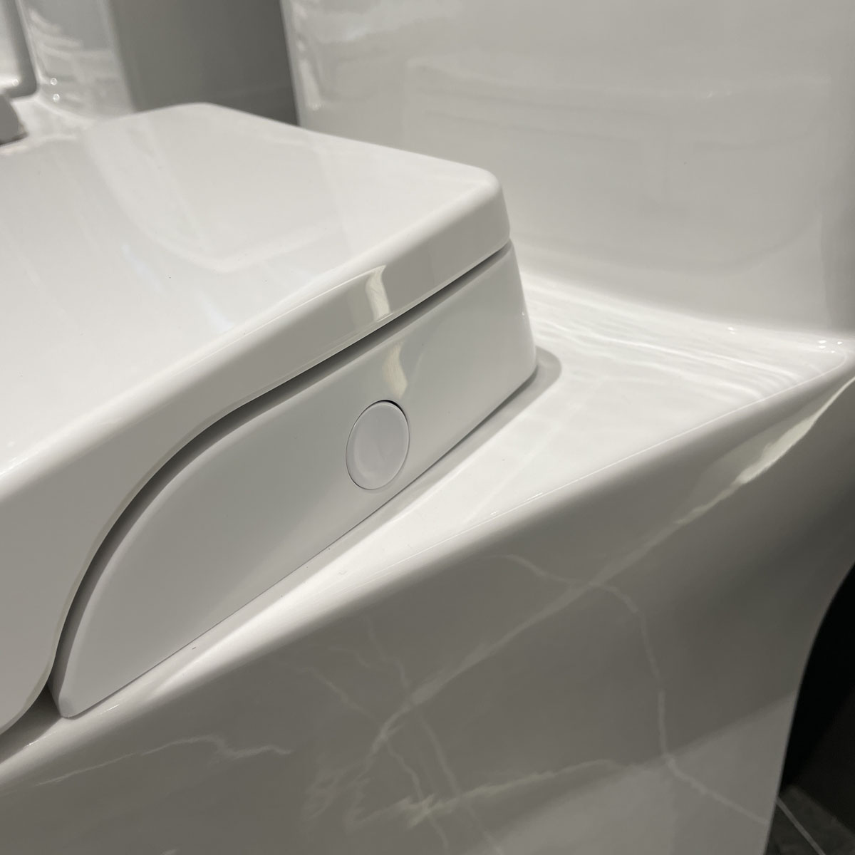 Bồn cầu 1 khối nắp rửa cơ JOMOO 11213-2-1/31Z-I011