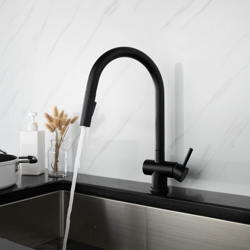 Vòi chậu bếp nóng lạnh dây rút RENE KLUGER KLF0008S (KLF0008B)