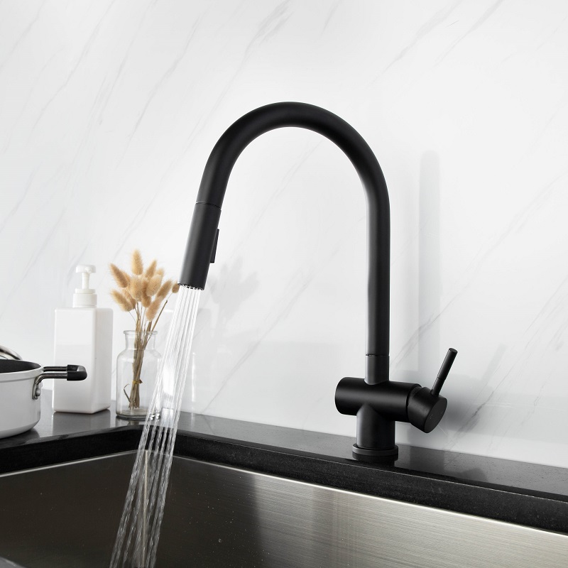 Vòi chậu bếp nóng lạnh dây rút RENE KLUGER KLF0008S (KLF0008B)