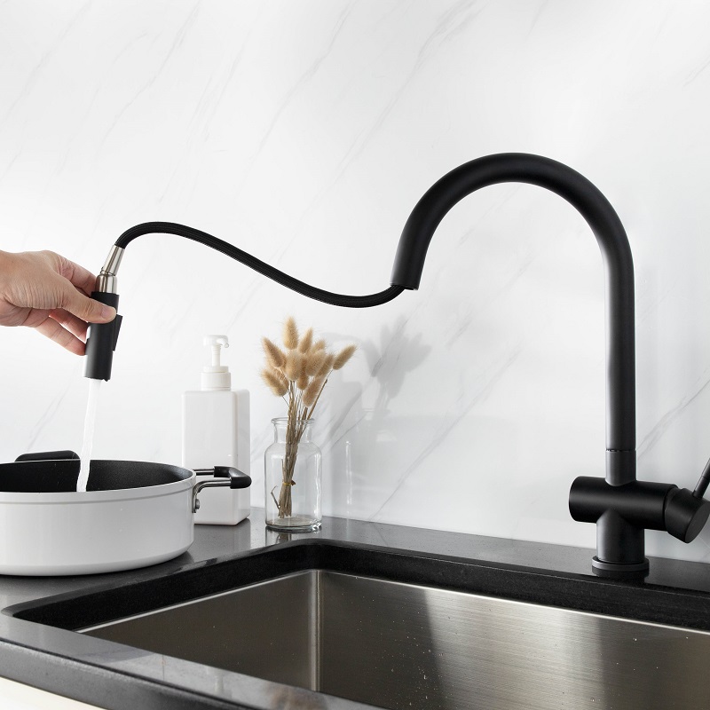 Vòi chậu bếp nóng lạnh dây rút RENE KLUGER KLF0008S (KLF0008B)