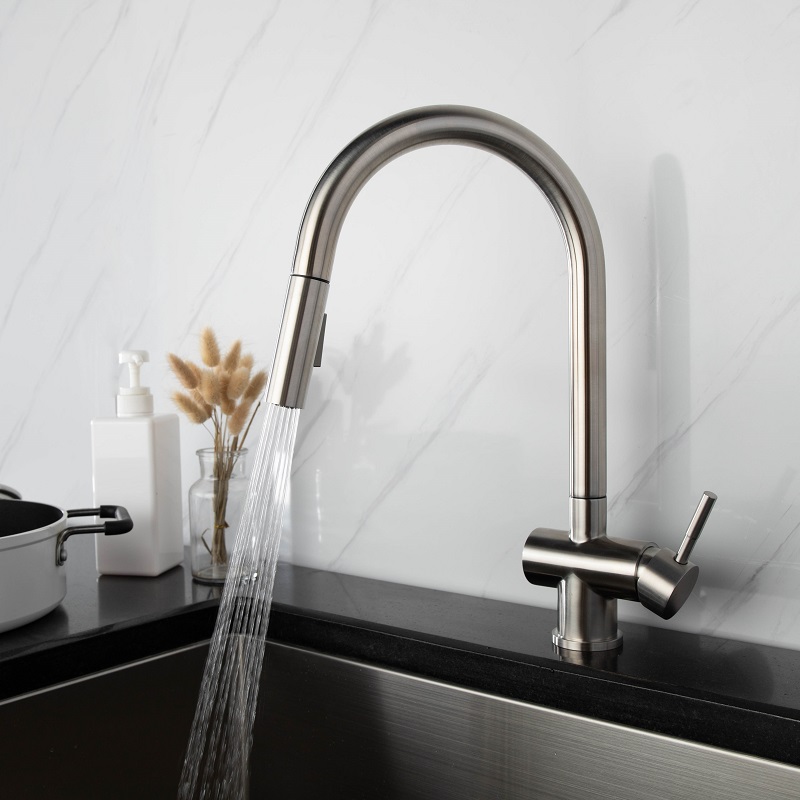 Vòi chậu bếp nóng lạnh dây rút RENE KLUGER KLF0008S (KLF0008B)