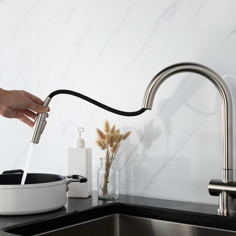 Vòi chậu bếp nóng lạnh dây rút RENE KLUGER KLF0008S (KLF0008B)