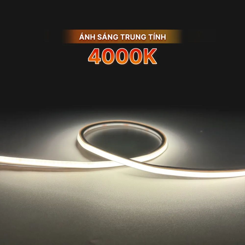 Đèn Led dây neon top bend Nanoco NSTT0606