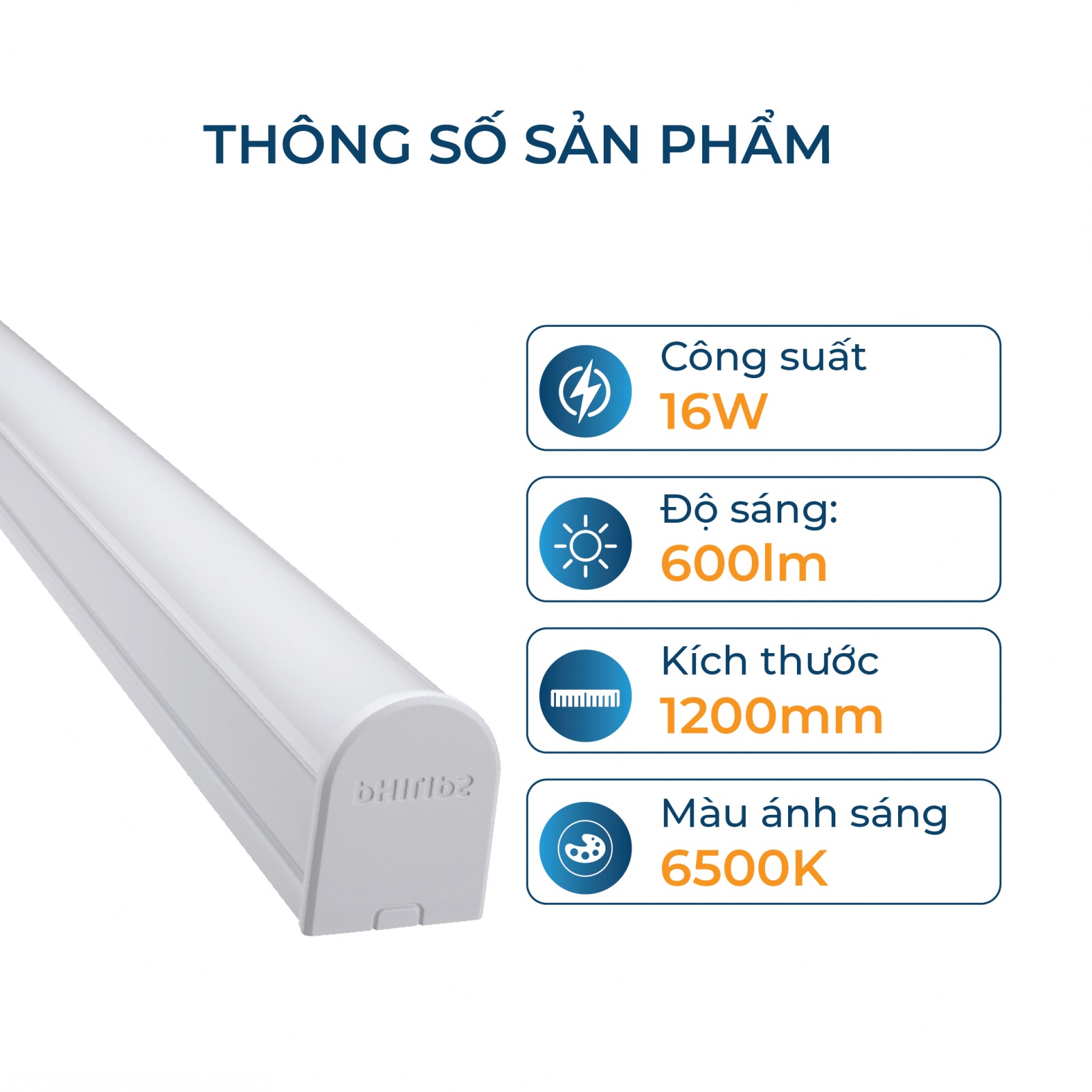 Bộ đèn LED Batten T8 BN016C G2