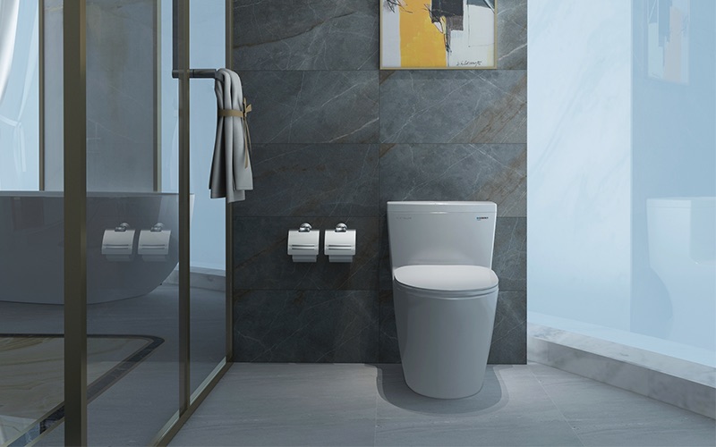 Bồn cầu 1 khối Viglacera Platinum P.11.320 nắp êm