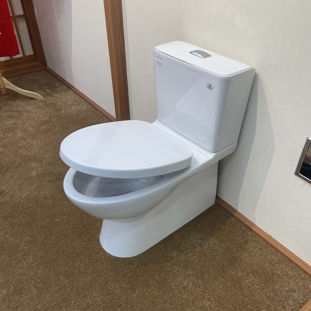 Bồn cầu 2 khối Waterfall Viglacera Platinum P.12.600 nắp êm