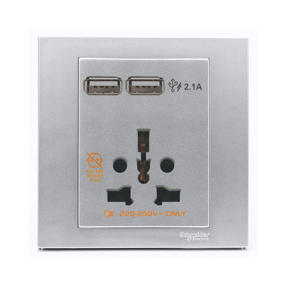 Bộ ổ cắm đa năng và sạc USB đôi Schneider Vivace KB42616USB