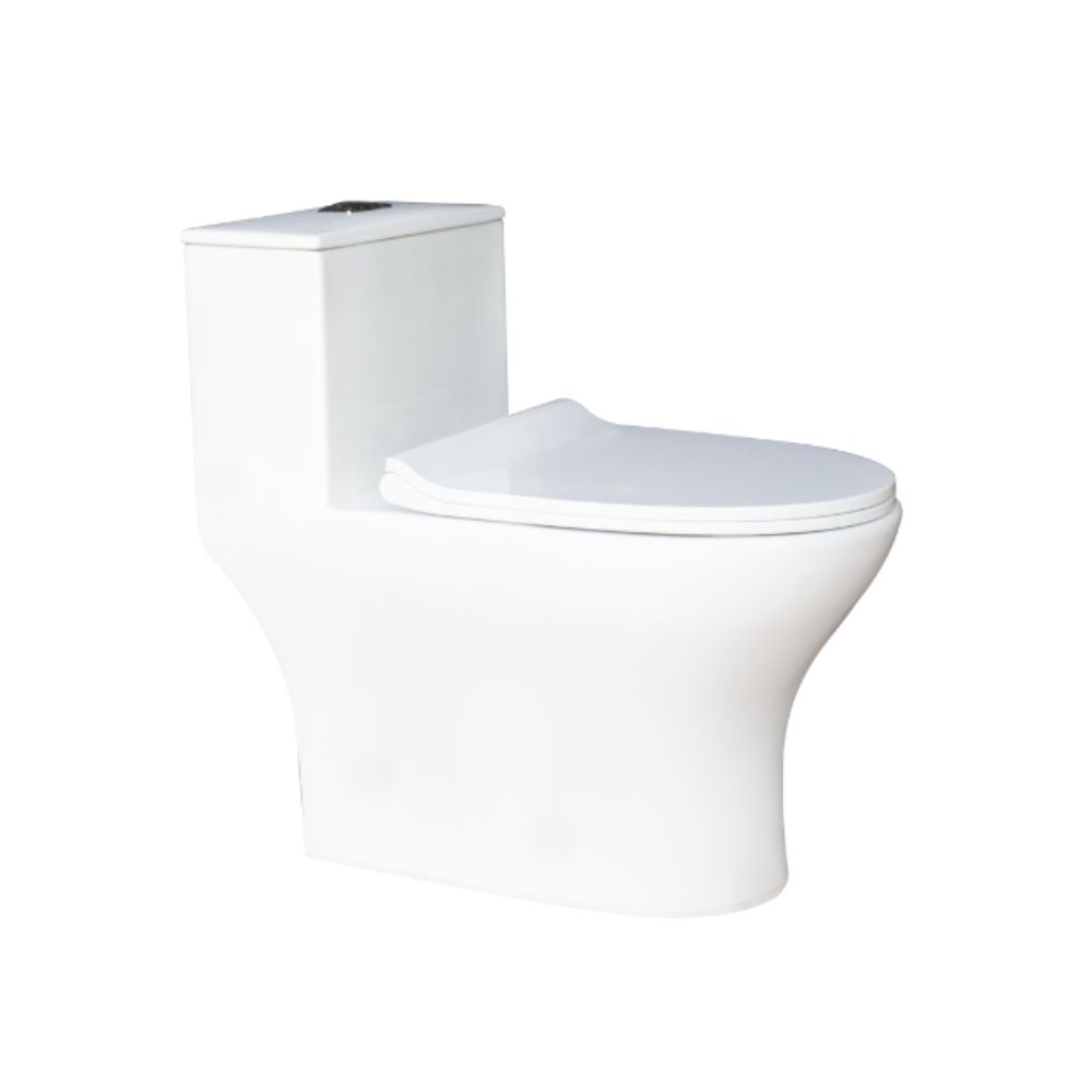 Bồn cầu 1 khối Everest Thiên Thanh CK79
