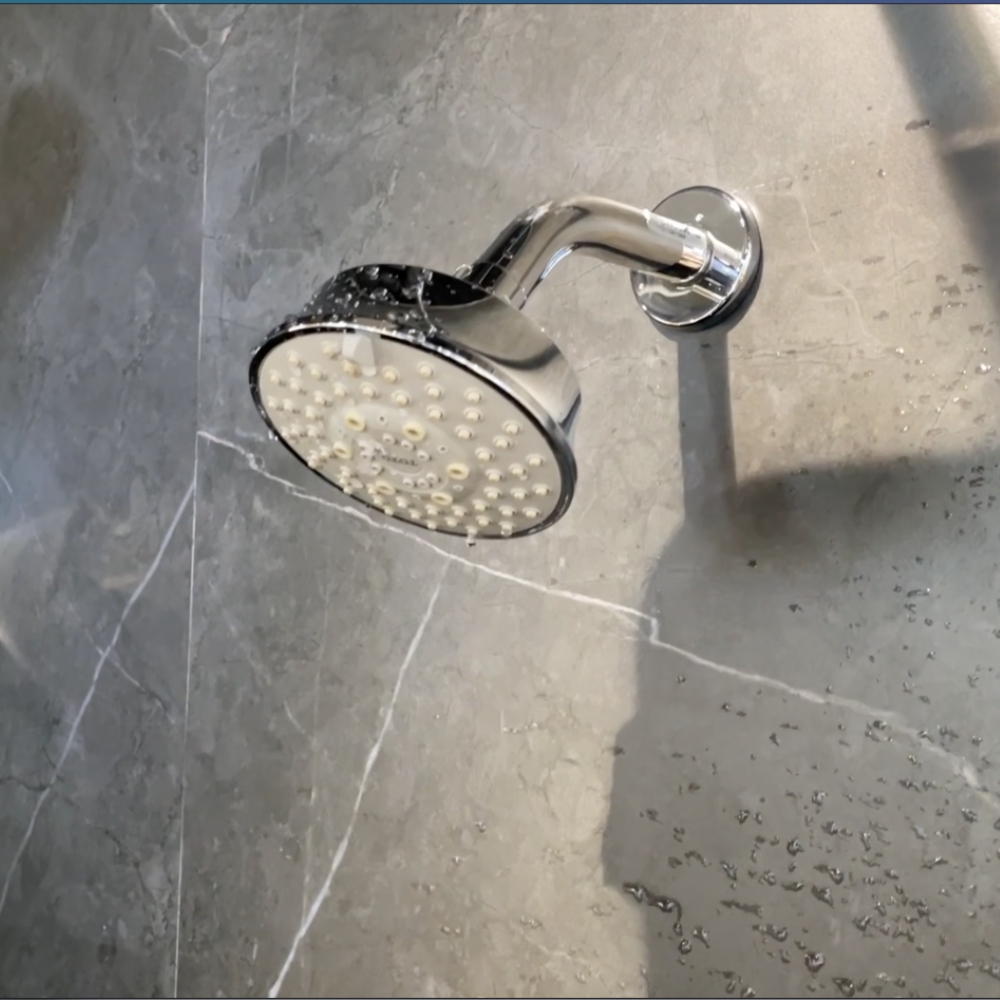 Bát sen tắm gắn tường TOTO TBW01013B (5 chế độ, tròn, 102mm)