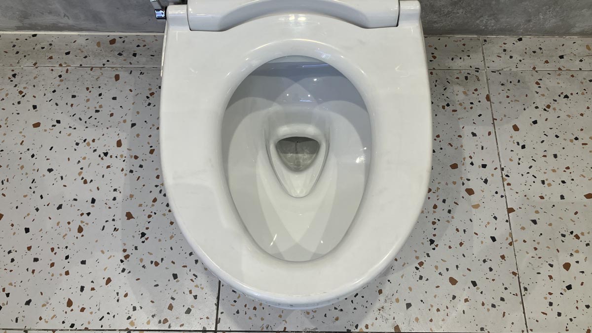 Bồn cầu TOTO CS838DE2 2 khối nắp rửa cơ TCW07S