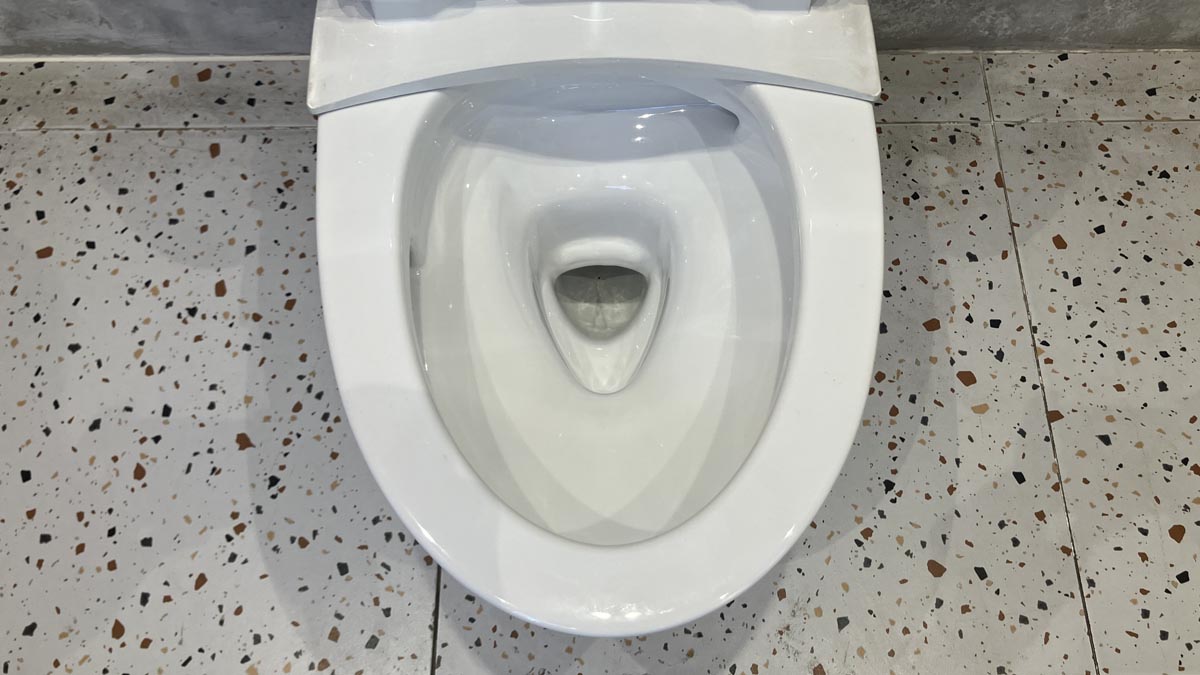 Bồn cầu TOTO CS838DE2 2 khối nắp rửa cơ TCW07S