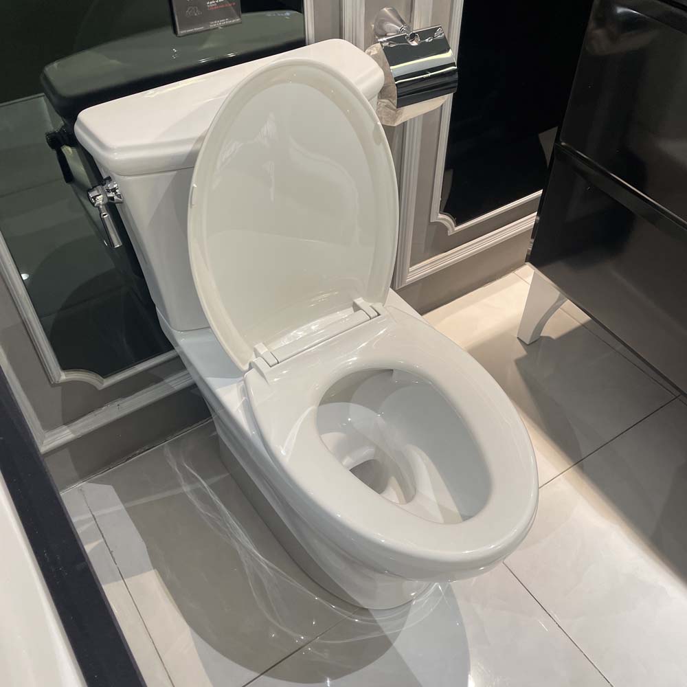 Bồn cầu 2 khối TOTO CS986GT9 nắp đóng êm TC507CVK-1