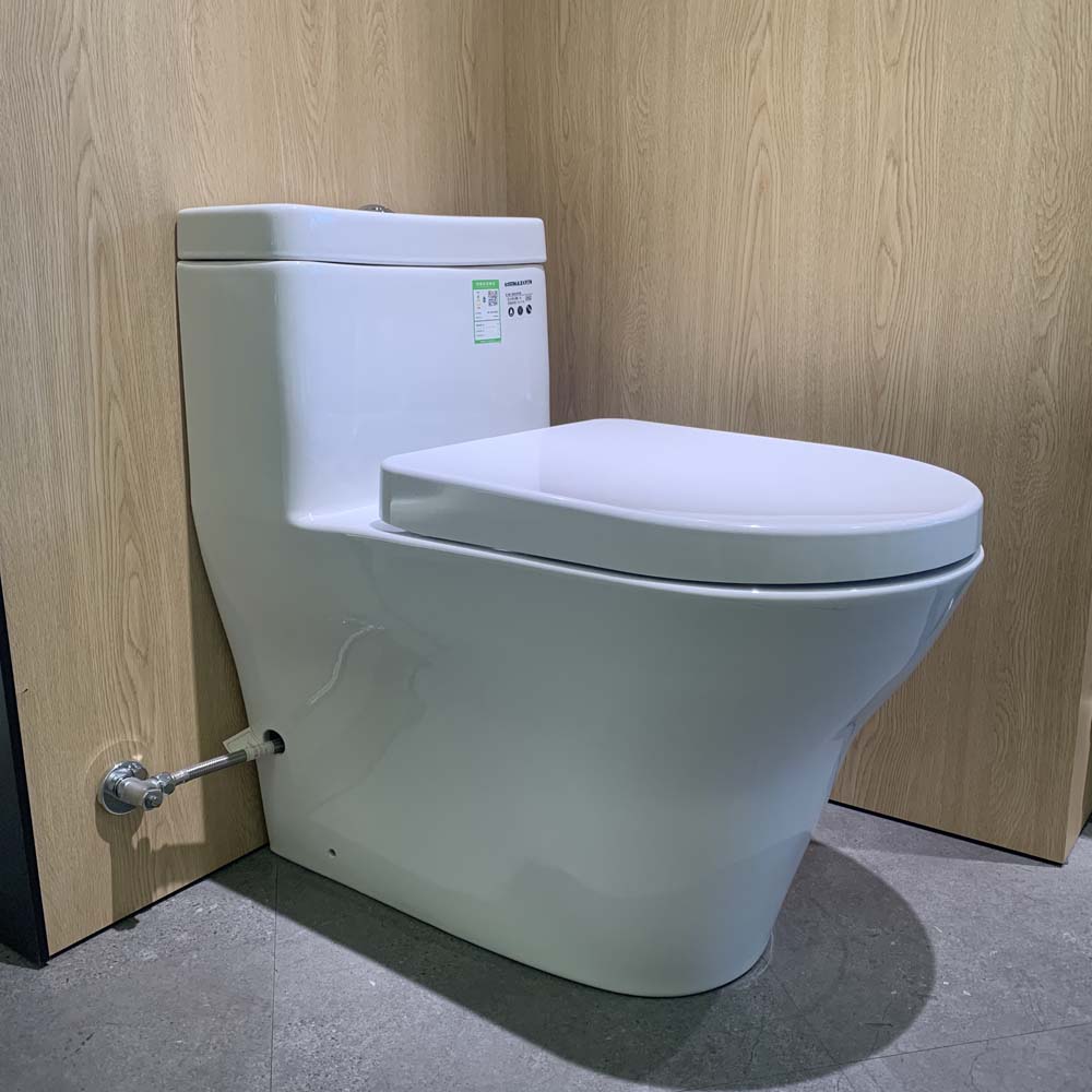 Bồn cầu TOTO CW166RB TC384CVK T53P100VR 1 khối nắp đóng êm