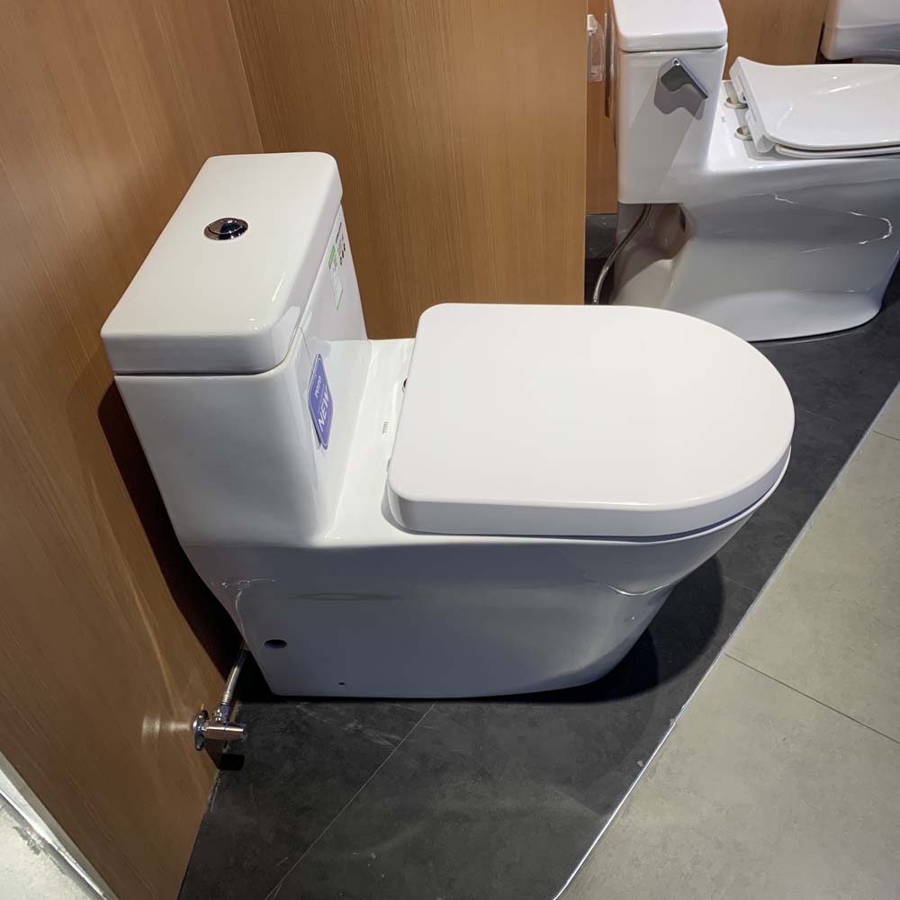 Bồn cầu TOTO CW166RB TC384CVK T53P100VR 1 khối nắp đóng êm