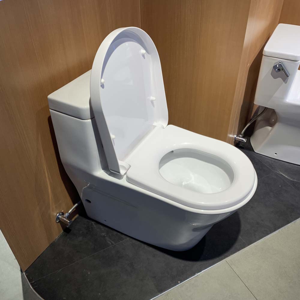 Bồn cầu TOTO CW166RB TC384CVK T53P100VR 1 khối nắp đóng êm