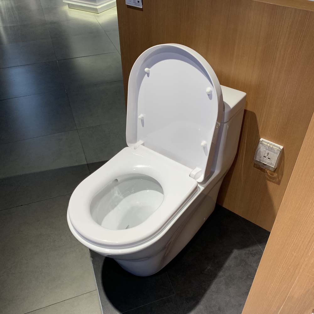 Bồn cầu TOTO CW166RB TC384CVK T53P100VR 1 khối nắp đóng êm