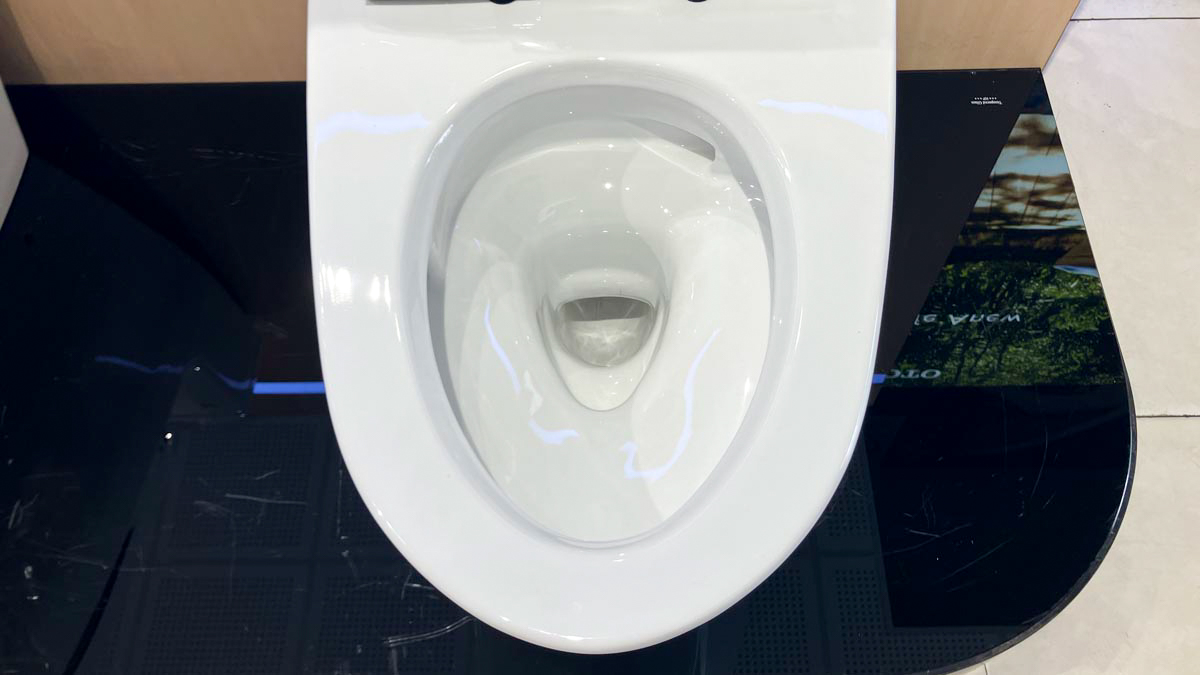 Bồn cầu 1 khối TOTO MS625DT8 nắp đóng êm TC600VS