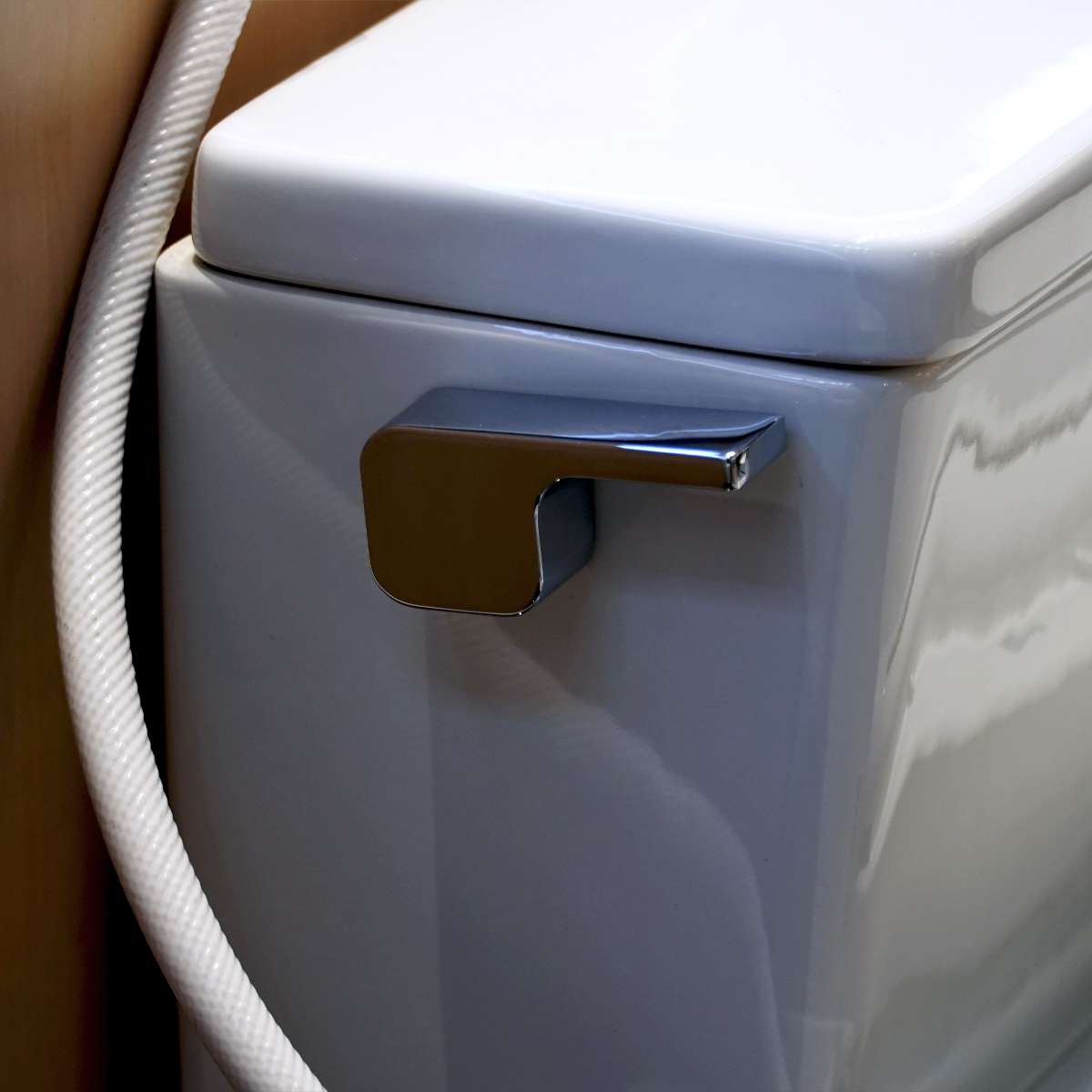 Bồn cầu TOTO MS188VKE4 T53P100VR 1 khối nắp rửa cơ TCW1211A