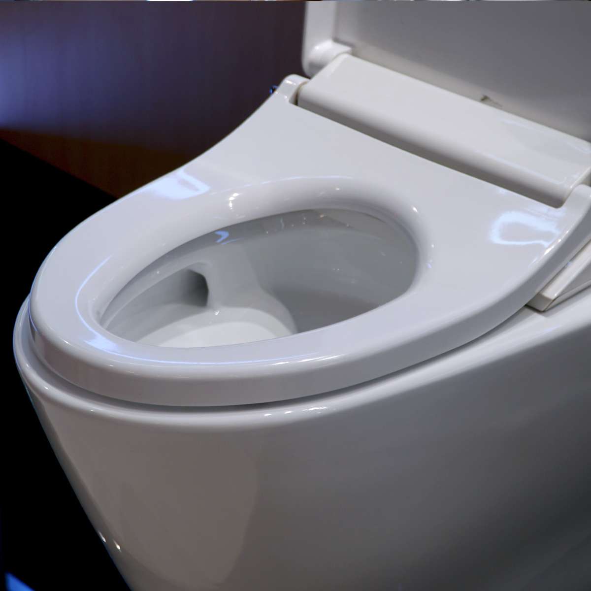 Bồn cầu TOTO MS625DE4 1 khối nắp rửa cơ TCW1211A