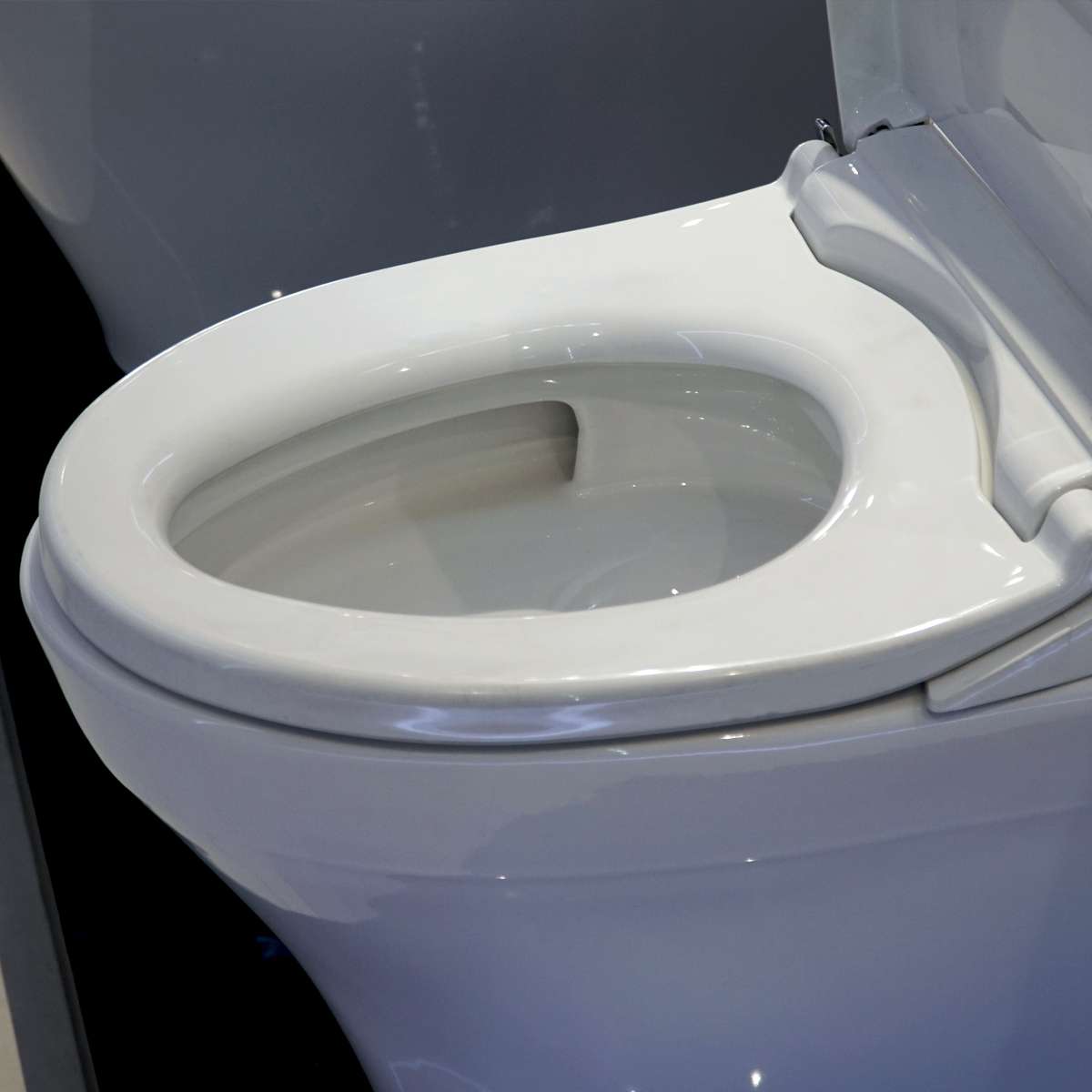 Bồn cầu TOTO MS889DRE2 1 khối nắp rửa cơ TCW07S