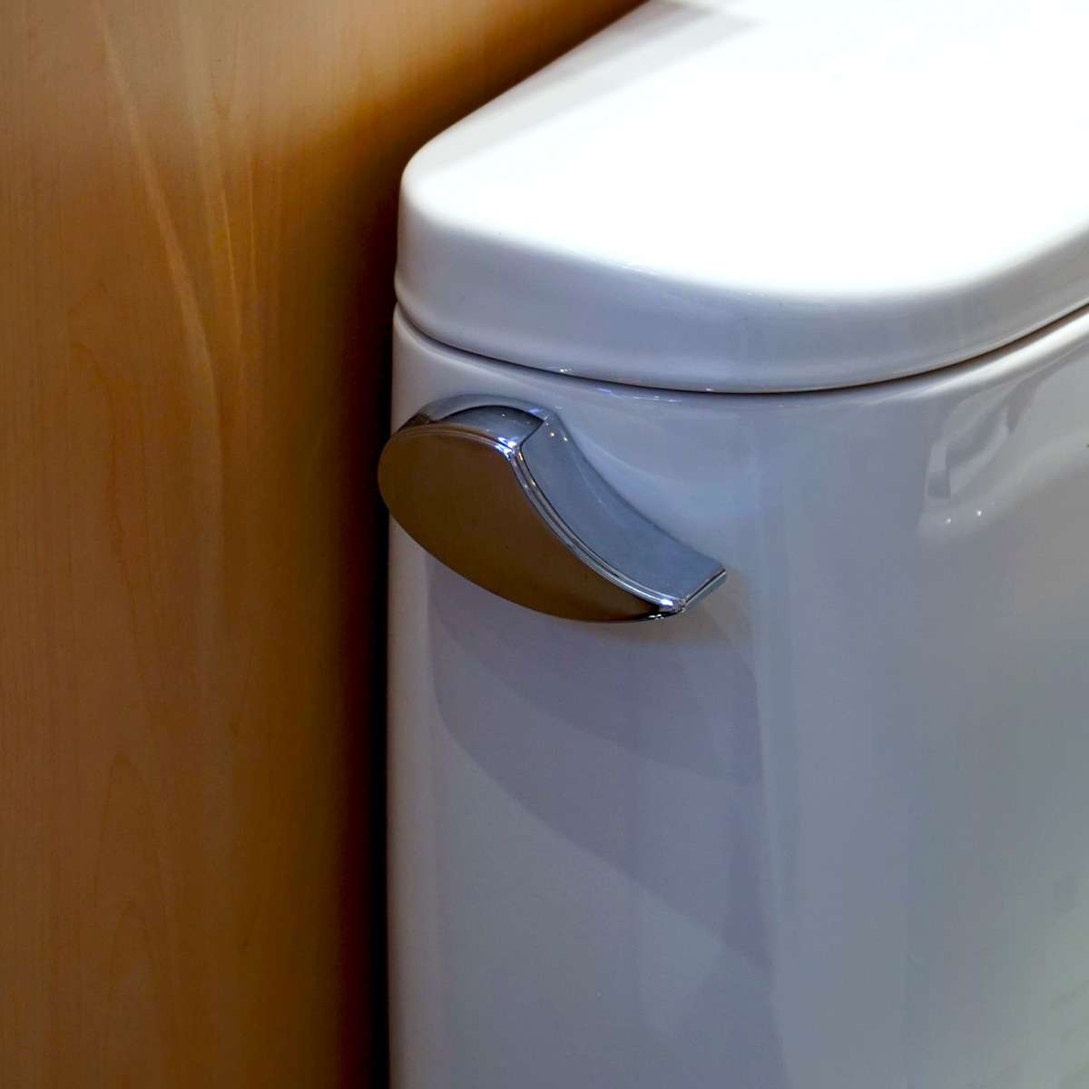 Bồn cầu nắp rửa điện tử TOTO 1 khối MS887RW6