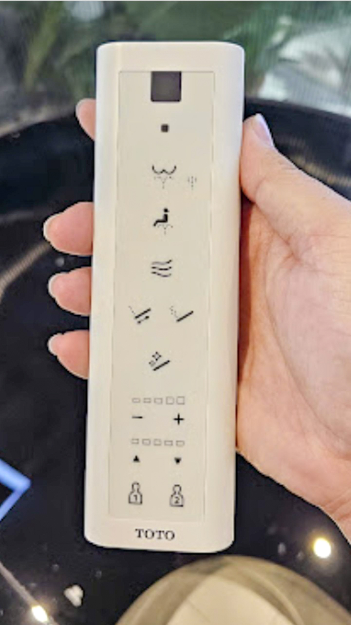 Nắp bồn cầu thông minh Washlet C5 TOTO TCF24410AAA (W14)