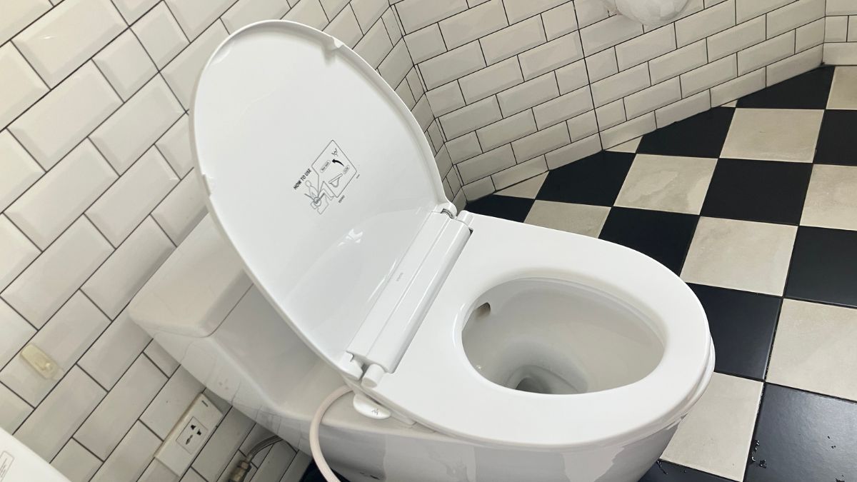Nắp bồn cầu rửa cơ TOTO TCW11S (E6)