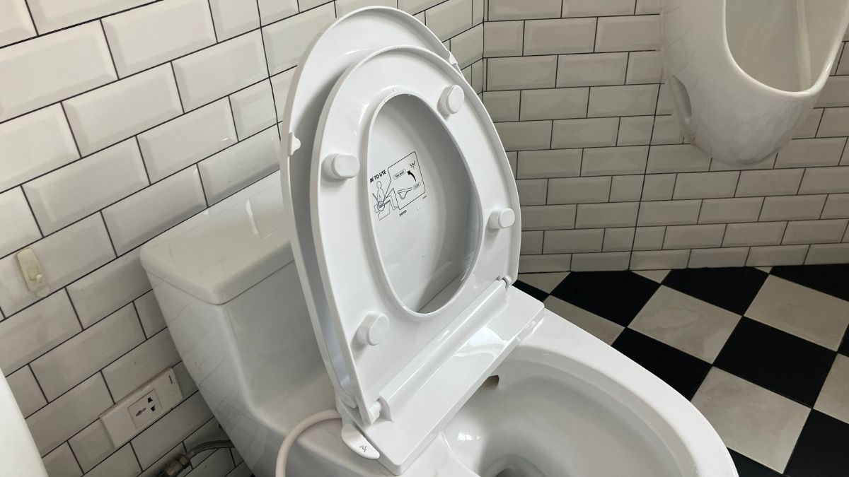 Nắp bồn cầu rửa cơ TOTO TCW11S (E6)