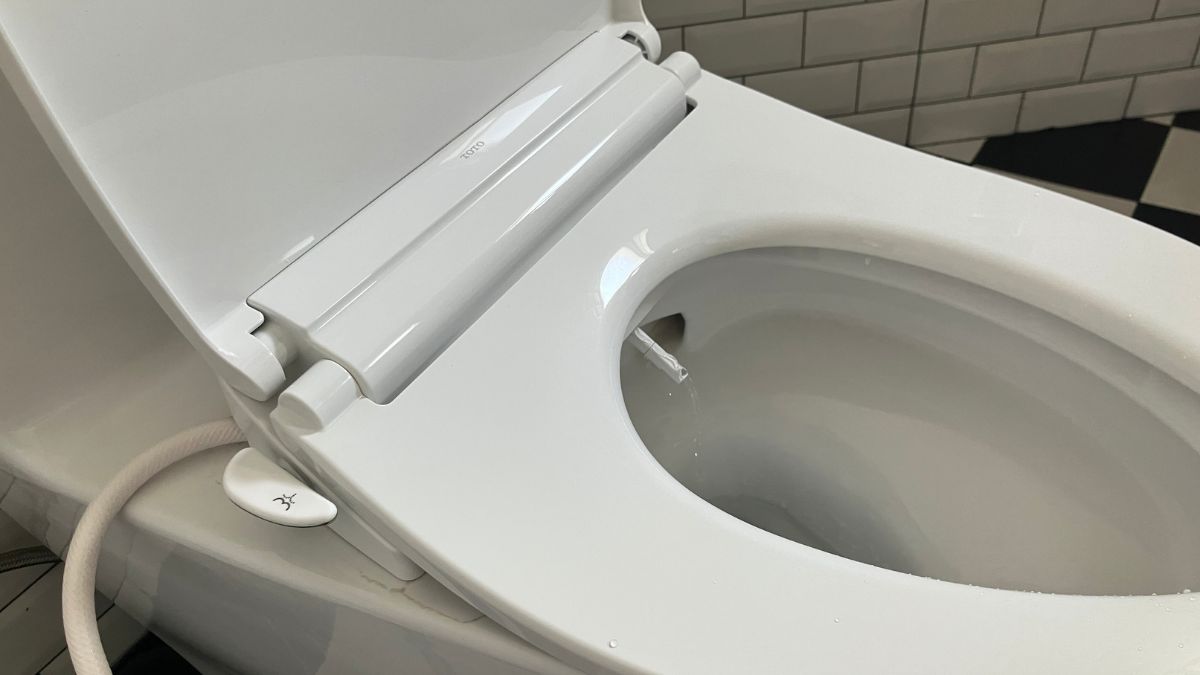 Nắp bồn cầu rửa cơ TOTO TCW11S (E6)
